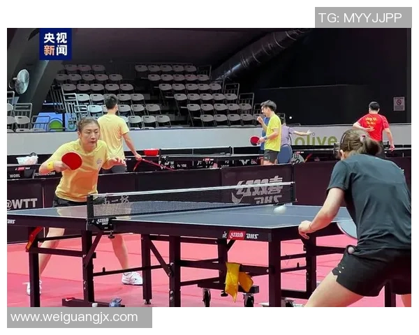 杭州乒乓球队技术深度解析与训练方法探讨