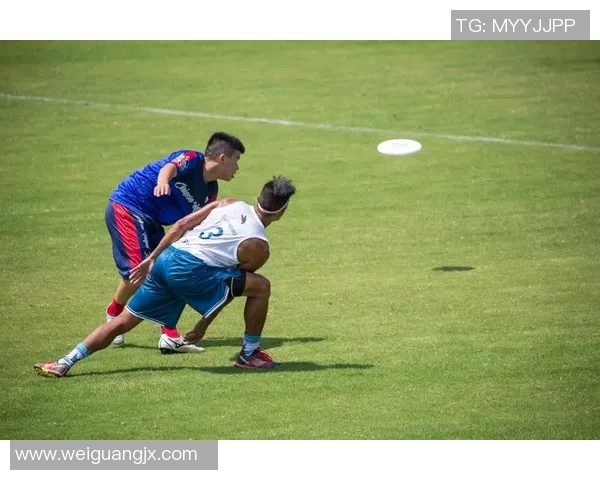 飞盘飞翔:重庆飞盘队的拼搏与成长之路全景记录 飞盘飞翔:重庆飞盘队的拼搏与成长之路全景记录