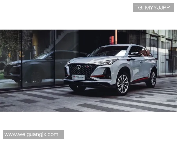 勇士与猛龙激战篮球总决赛巅峰对决谁能夺冠成就传奇