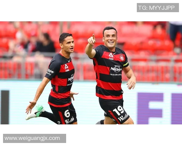 悉尼队与新城堡联队激战正酣谁将赢得这场精彩对决