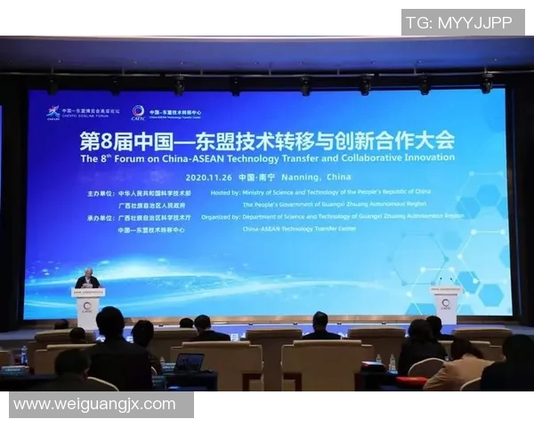 德阿隆福克斯的崛起之路与未来发展潜力分析 德阿隆福克斯的崛起之路与未来发展潜力分析