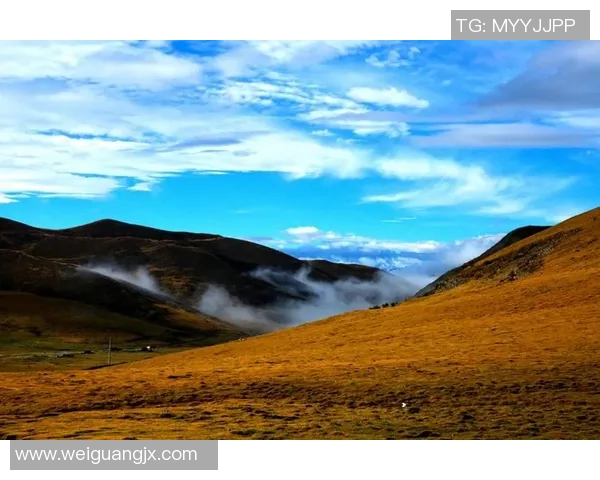 李泓澎的成长之路与艺术追求：从初心到辉煌的心灵旅程
