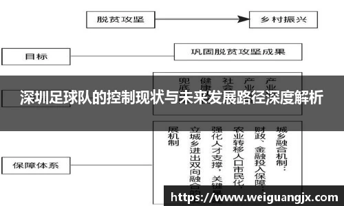 深圳足球队的控制现状与未来发展路径深度解析